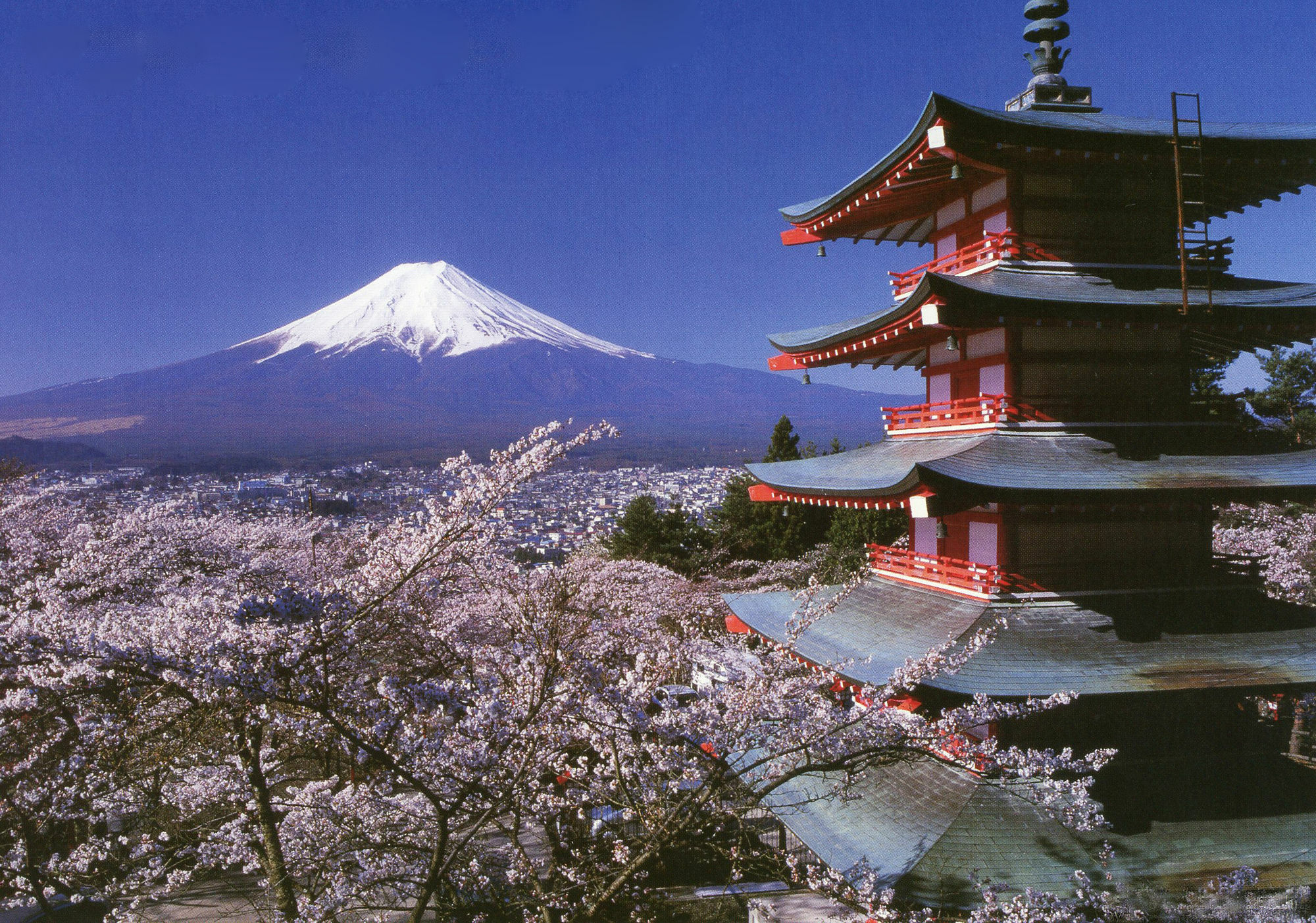 Mt Fuji Michael's Ostello *
